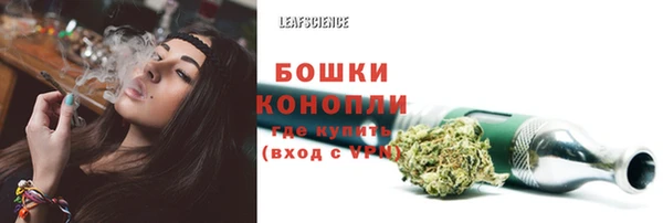 амф Аркадак